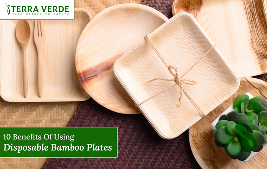 benefits of using bamboo plates