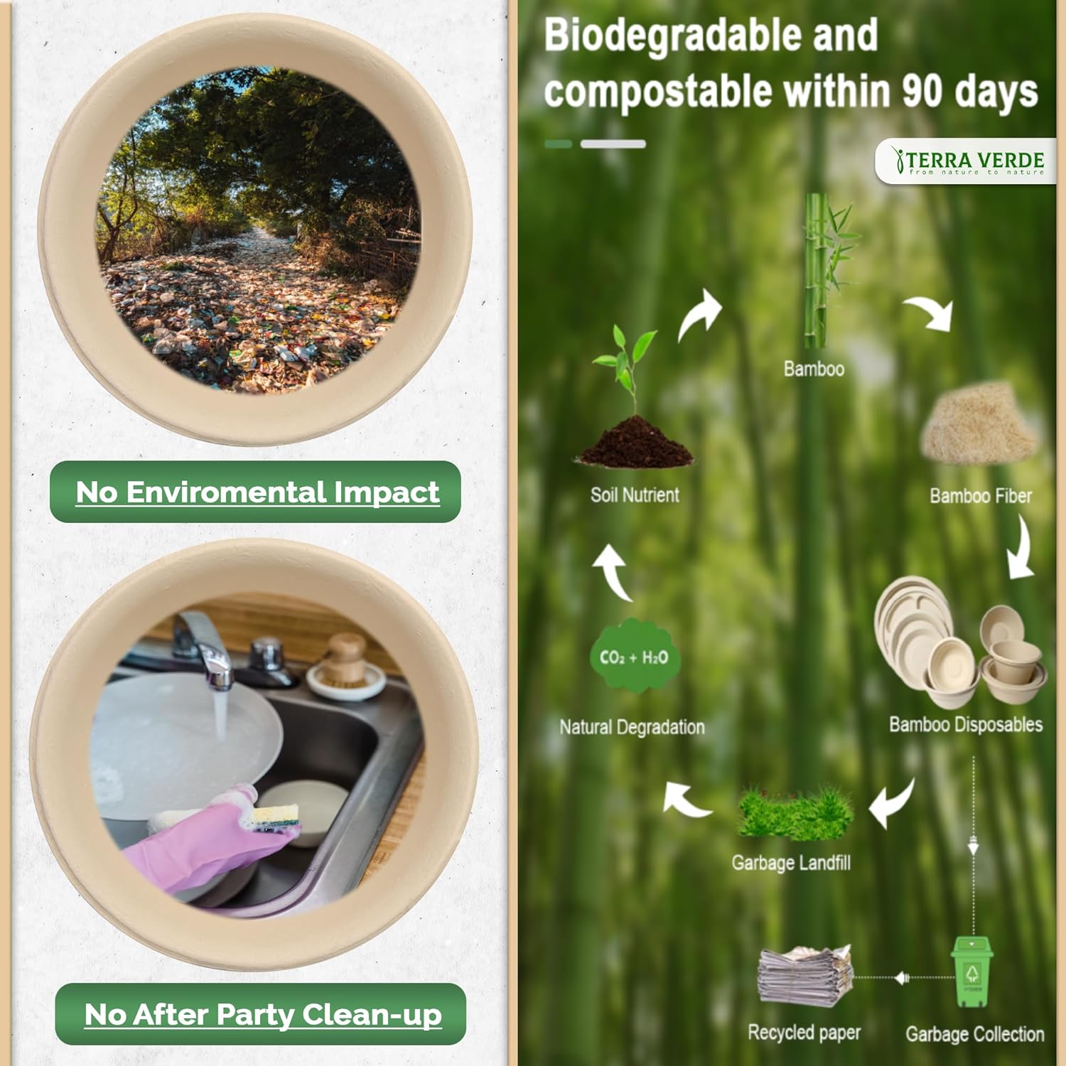 biodegradable and compostable plate in 90 days