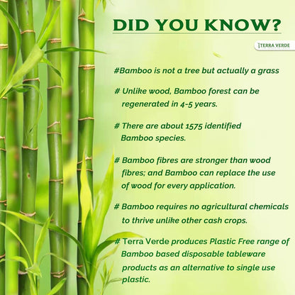 information about the importance bamboo